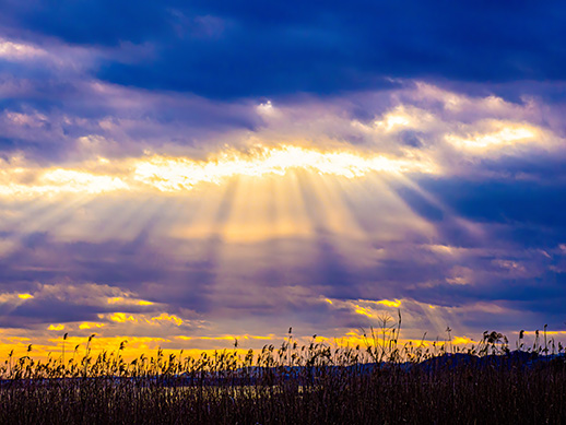 手賀沼の光芒,Lake Teganuma,beam of light,OM1A0744